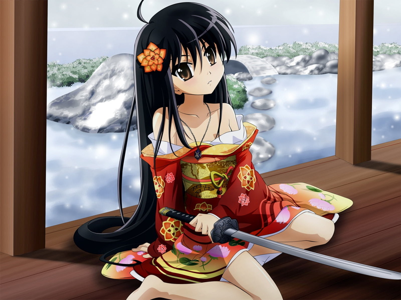 representation, no people, cloud - sky, lifestyles, sword, male likeness, home interior, girl, toy, table, window, human representation, transparent, haired