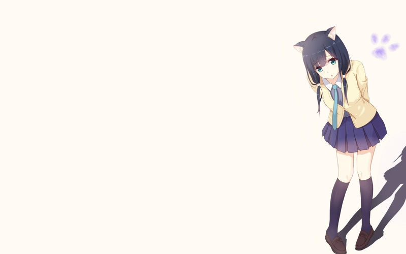 anime girls, full length, nekomimi, real people, adult, young women, indoors, anime, females, studio shot, standing, simple background, front view, women
