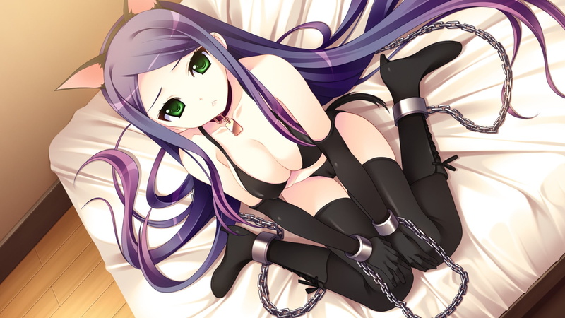 pochi, yamamine, 2048x1152, pochi to goshujin-sama, sama, anime girls, nekomimi, goshujin, 1080P, anime, hijiri, yamamine hijiri bernard, bernard, girls