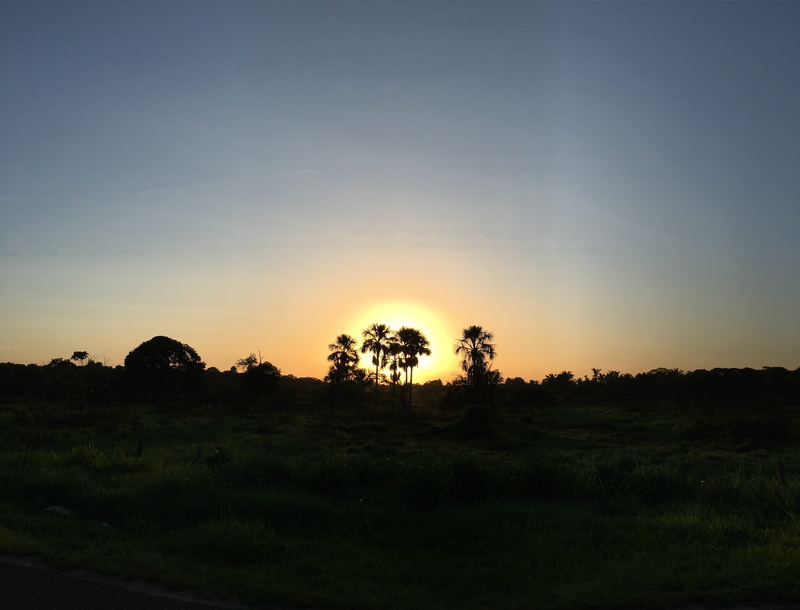outdoors, tranquility, sunrise, plant, dusk, scenics - nature, tranquil scene, environment, dawn, vegetation, beauty in nature, caminho da martins melo