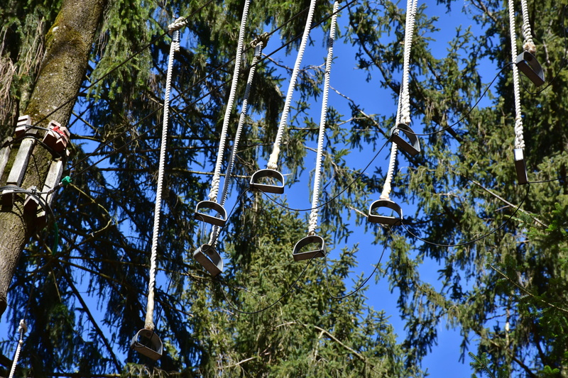 platform, schönwetter, dew, day, forest climbing park, climbing harness, climbing park, balance, sunlight, built structure, large, protection, low angle view