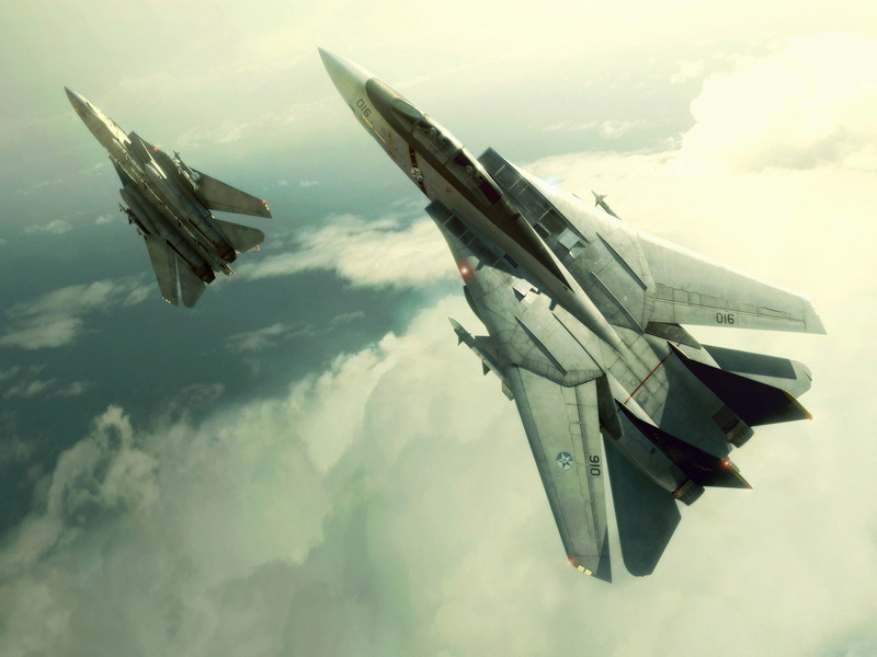 military aircraft, 720P, aircraft, clouds, video games, Ace Combat, Grumman F-14 Tomcat