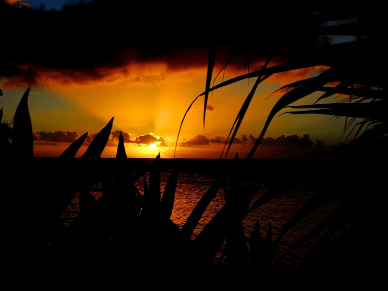 reflection, sunlight, style, ocean, sunset, sunshine, orange, 1080P, rays, sundown, winter, south, pacific, nature