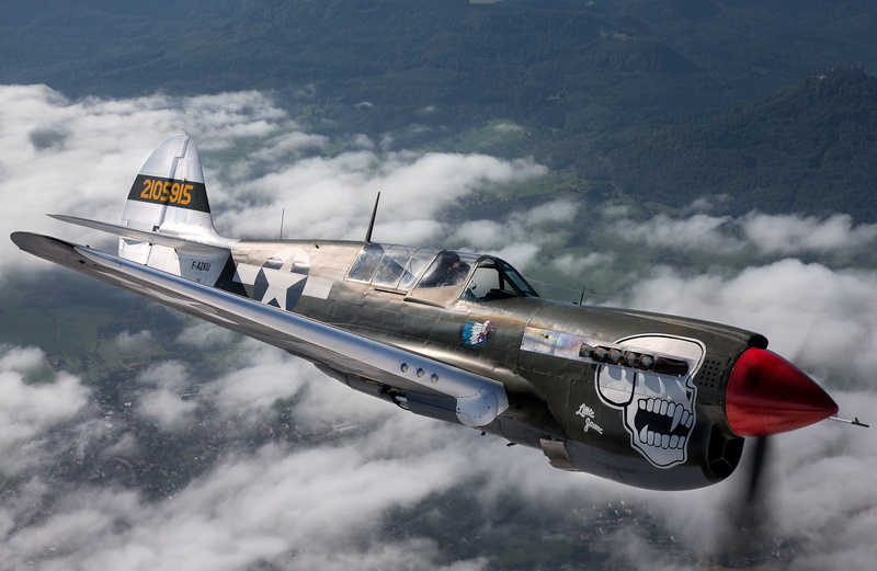 Curtiss P-40, 1080P, skull, the plane, flies