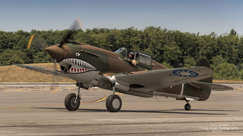 flying, p-40, american, flight, aircraft, airshow, airplanes, aeroplane, 720P, warhawk, curtiss, fighter, war
