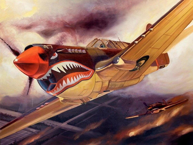 720P, Curtiss P-40 Warhawk, Military Aircrafts, Aircraft