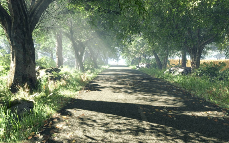 long, no people, diminishing perspective, footpath, road, direction, growth, tree, sunlight, green color, treelined, tranquility, trees, 720P, shadow