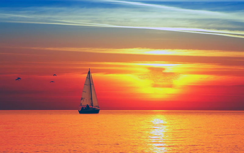 birds, sky, flight, computerx, mobile, 1080P, sunlight, open, sailing, hd, sea, sunset, red, sailboat, phones