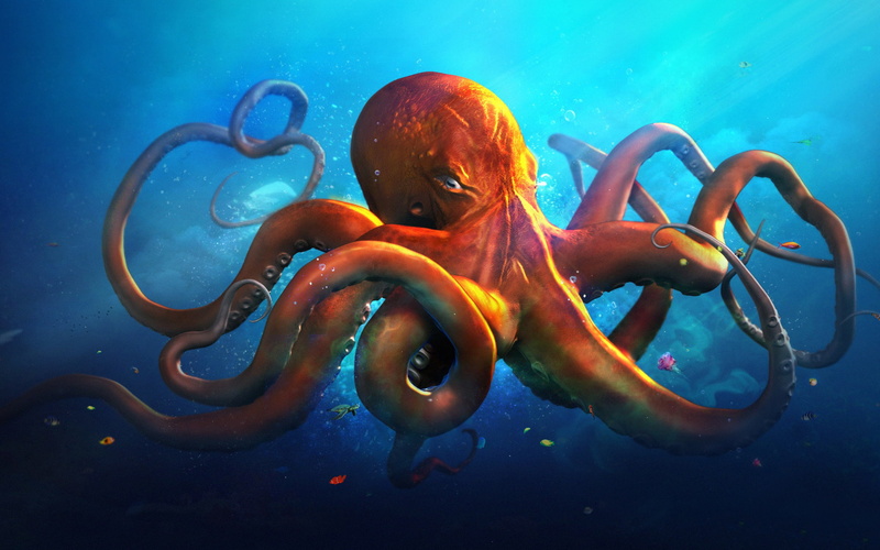 1080P, octopus, slouching