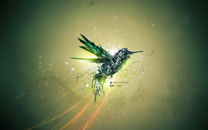 hd, bird, 1080P, graphics, creative and graphics, creative, flight, green