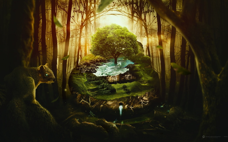 wildlife, 1080P, graphics, jungle, creative and graphics, hd, creative