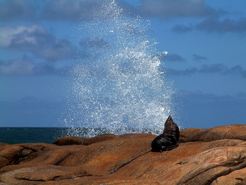 rock, day, sky, cloud - sky, nature, costa, horizon, stones, nimbus, background image, tranquility, landscape, rock - object, beauty in nature, horizon over water