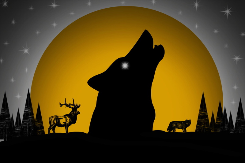 deer, picture, wolf, 1080P, the moon, forest
