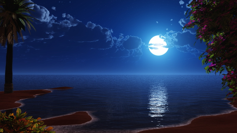 4K, Scenery, Beach, Tropical, Full moon, 4K