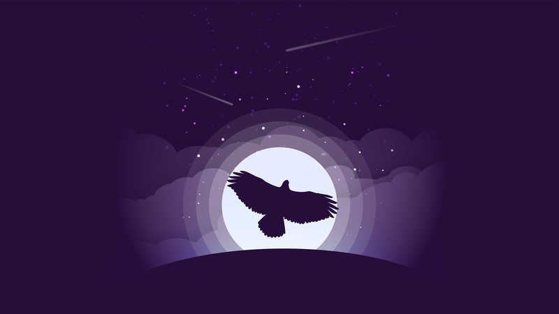 leisure activity, lifestyles, Minimal, nature, k, women, dark, rear view, illuminated, night, Eagle, Moon, one animal, Purple, indoors, men, standing, 4K