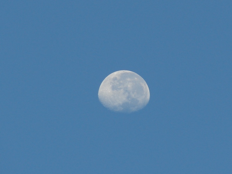 sky moon, space and astronomy, astronomy, tranquility, no people, space, moon, astrology, moon surface, idyllic, night, space exploration, 2K, sky, planetary moon
