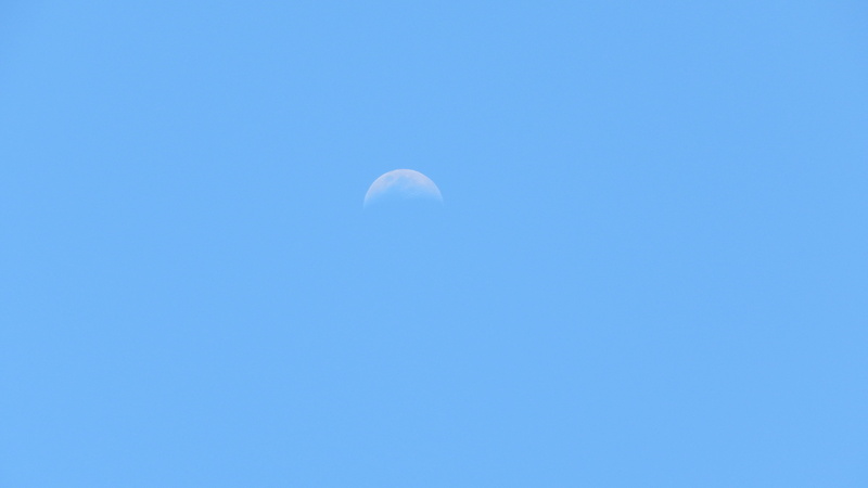 outdoors, astronomy, copy space, planetary moon, blue, Blue, sky, night, scenics - nature, crescent moon, Moon, Day, nature, space, 4K, space and astronomy