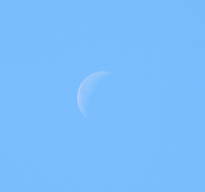 copy space, clear sky, sky, planetary moon, blue, tranquil scene, tranquility, daytime moon, astronomy, crescent, moon, day, half moon, low angle view