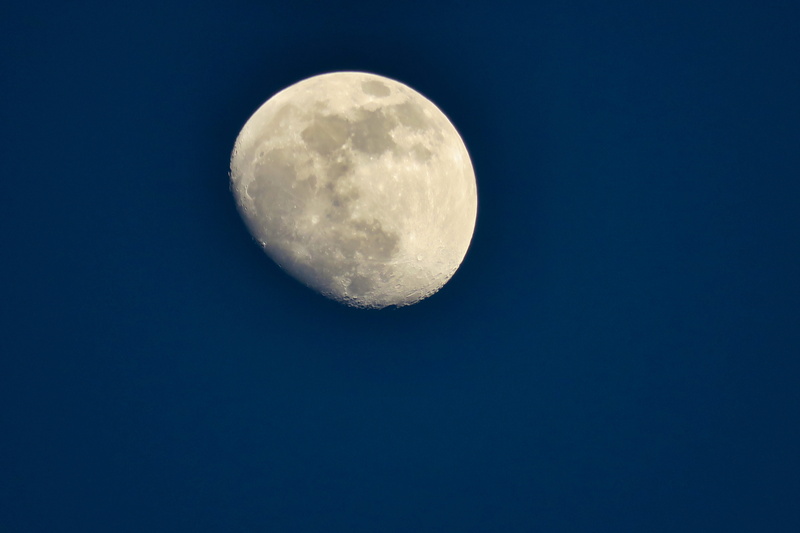 outdoors, moonlight, space and astronomy, moon, space, lunar, no people, moon surface, 5K, day, luna, beauty in nature, night, low angle view, tranquility