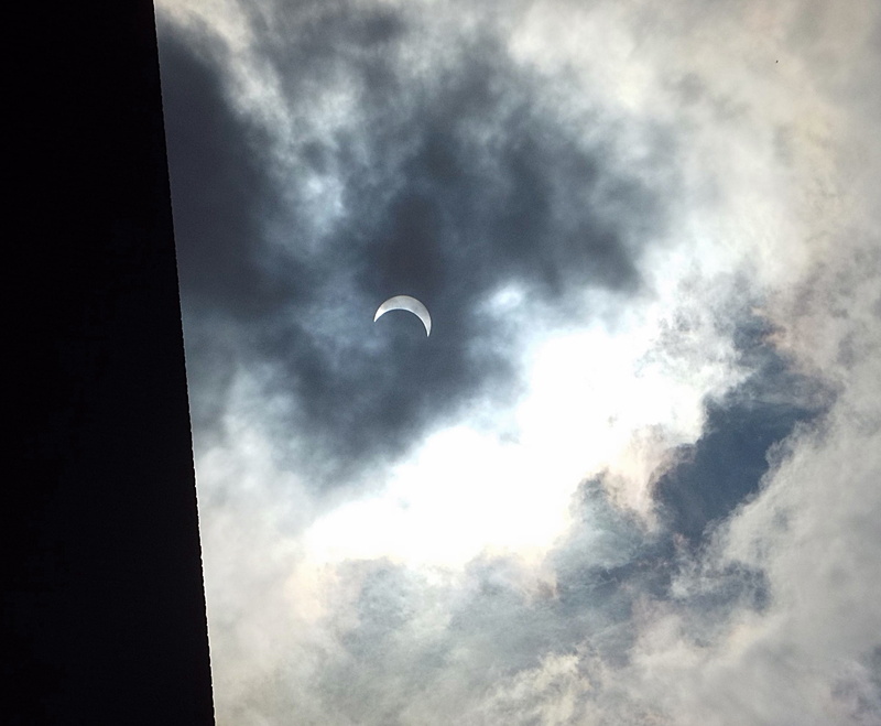 planetary moon, crescent, overcast, new york, cloud - sky, nature, low angle view, outdoors, silhouette, 2K, tranquility, day, one animal, beauty in nature
