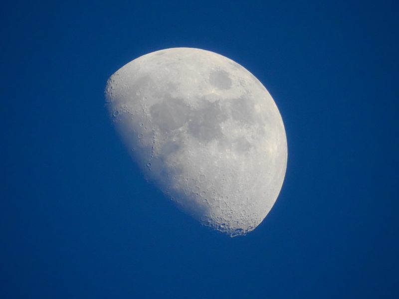 blue, tranquil scene, clear sky, half moon, sky, moonlight, 4K, moon, night, nature, low angle view, background, no people, science, space