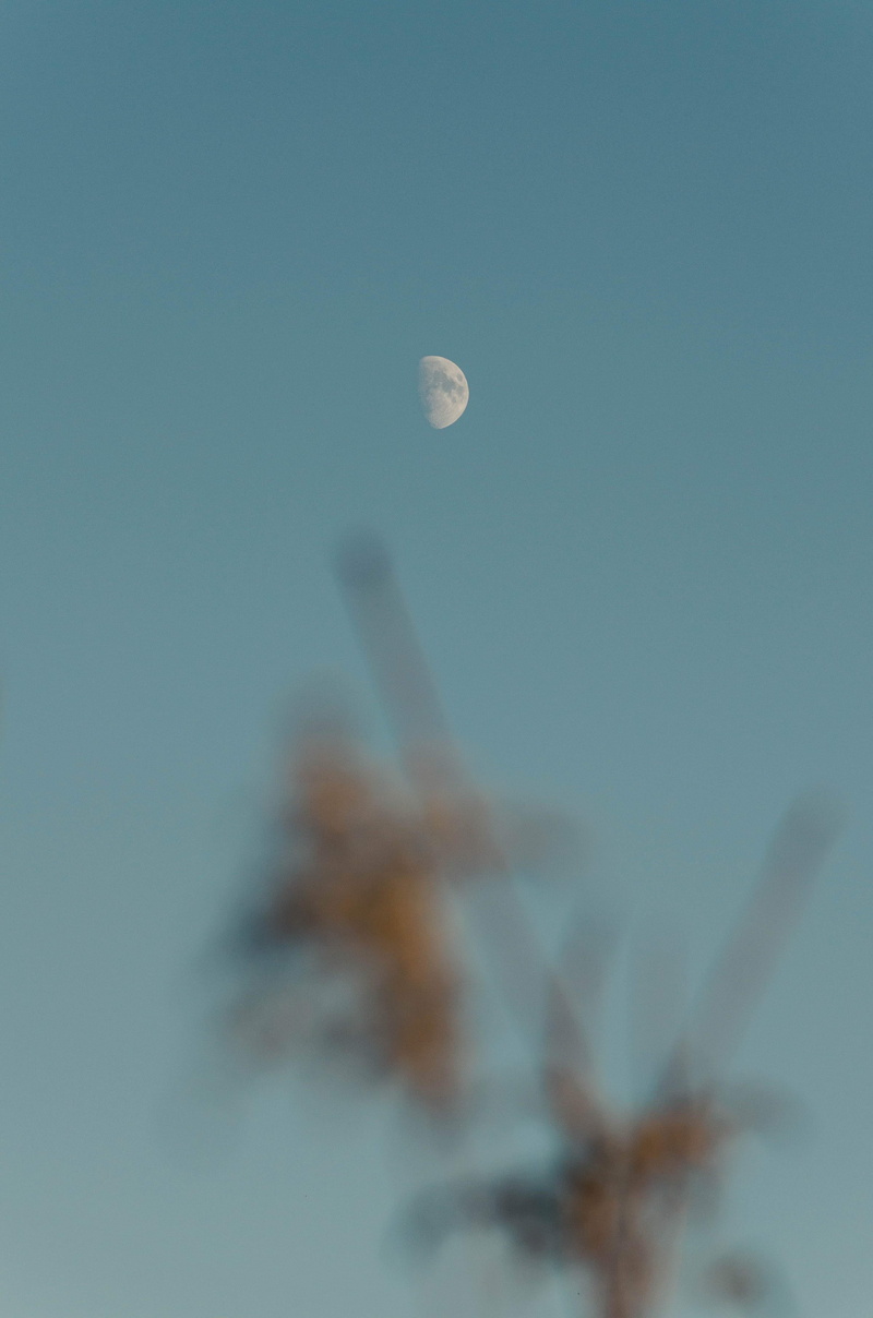 day, dusk, airplane, low angle view, mode of transportation, focus on background, blue, moon, eagle, united states, planetary moon, travel, copy space