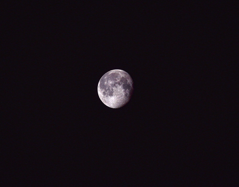 science, scenics - nature, 1080P, gibbous, luminous, nature, idyllic, moon surface, night, astronomy, majestic, landscape, moonlight, scenics, moon, beauty in nature
