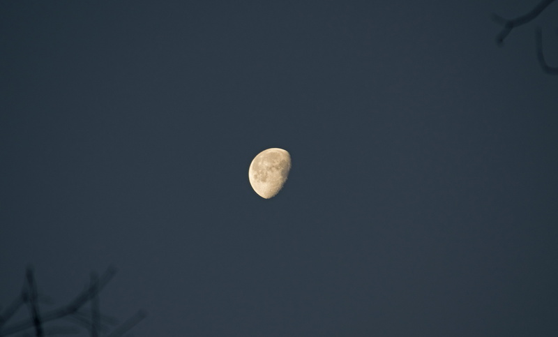 outdoors, astrology, sky, skyscape, exploration, january, tranquil scene, astronomy, night, nature, waning, space and astronomy, full moon, copy space