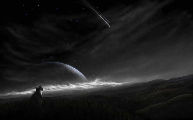 meteor, star, digital art, grayscale, planet, looking, starry, 1920x1200, night, cat, 1080P, sky, watching, photo