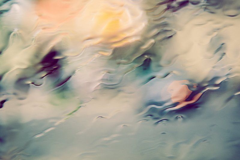 day, Reflection, animals in the wild, Spring, Seasons, Water, coming, sea, marine, softness, Backgrounds, one person, Textures, Window, animal themes, relaxation