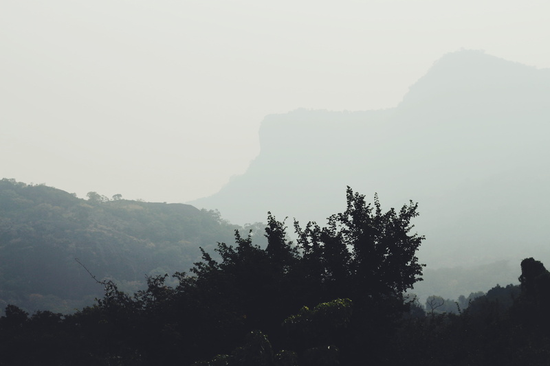 trees, mist, fog, environment, outdoors, beauty in nature, calm, scenics - nature, mountain range, valparai, aesthetic, no people, tranquil scene, 5K