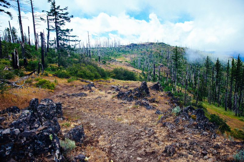 outdoors, non-urban scene, grizzly peak, nature, tree, remote, land, cloud - sky, beauty in nature, growth, mountain ridge, no people, forest, rocks, trees