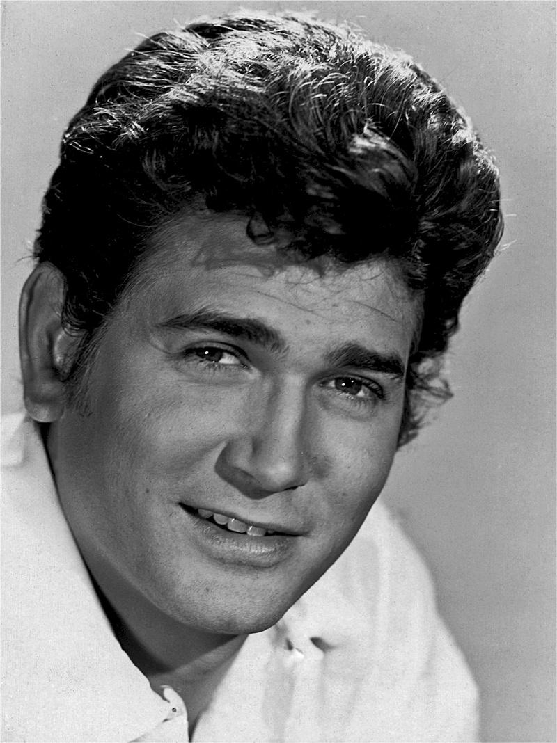 young adult, director, hairstyle, writer, men, series, western, bonanza, looking at camera, 1080P, leisure activity, entertainer, tv, handsome, michael landon