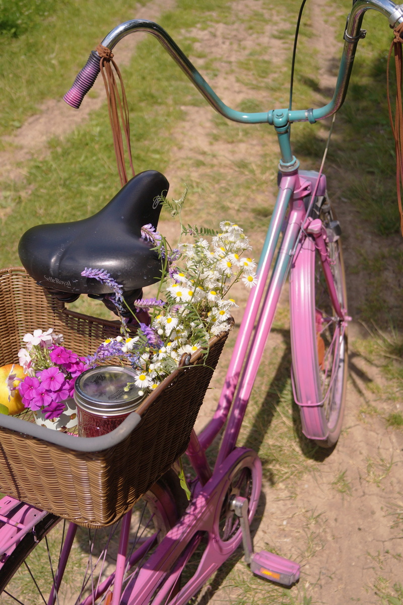 bike, field, plant, picnic, container, bicycle, flowering plant, basket, wheel, flower, handlebar, mode of transportation, no people, bicycle basket, transportation