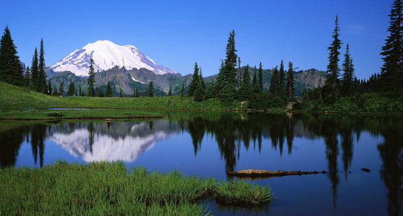 nature, national Park, plant, capped, cascade Range, mountain, cloud - Sky, jasper - Canada, no People, day, extreme Terrain, environment, travel destinations
