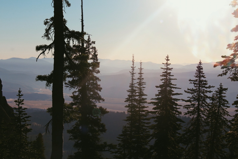 lens flare, tranquil scene, mountains, nature, feilds, light, sun, 4K, morning, mountain, plant, silhouette, idaho, tranquility, coniferous tree, hills
