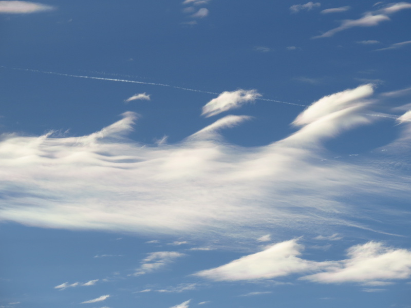 federwolke, meteorology, beautiful, backgrounds, heaven, sawtooth, contrail, clear, day, low angle view, environment, warm, outdoors, white color, blue