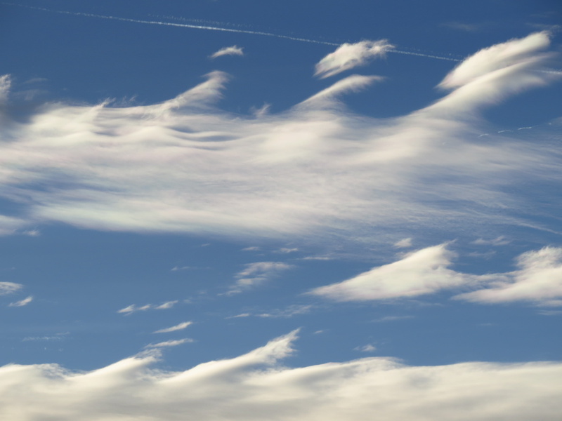 cloud - Sky, weather, saw tooth pattern, blue, pattern, heaven, wispy, Contrail, Clouds, idyllic, backgrounds, sawtooth, tranquil scene, air, cloud, sunny