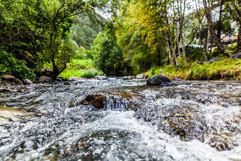 leaves, summer, scenics - nature, rock, trees, nature, flowing, growth, rapids, land, day, rock - object, creek, environment, shallow, solid, tree, flowing water