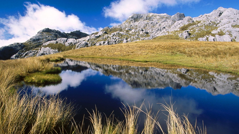 1080P, landscapes, mount, owen, national, zealand, park