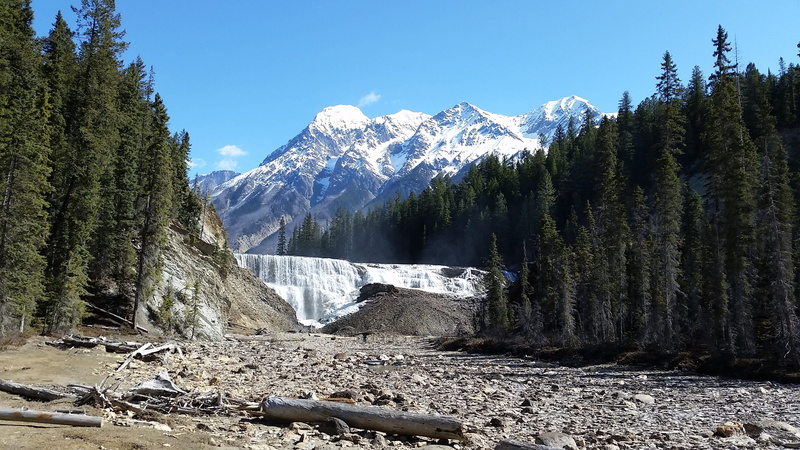 coniferous tree, pine woodland, waterfall, scenics - nature, beauty in nature, british columbia, nature, pine tree, mountain peak, snowcapped mountain