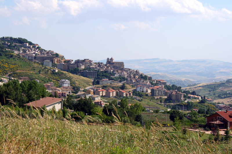 town, land, mountain, residential district, nature, building, vineyard, plant, Petralia Sottana, photo, outdoors, house, sky, townscape, no people, sicily