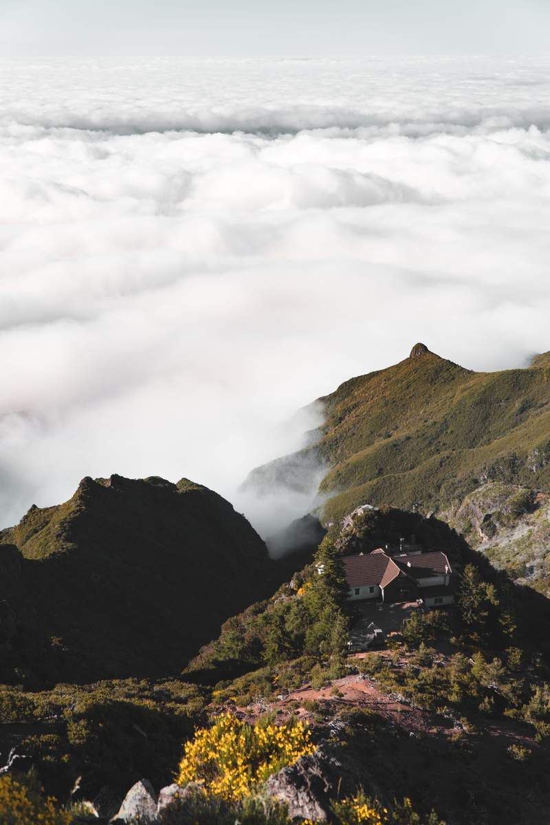 housing, alps, day, water, rock, beauty in nature, home, portugal, hill, fog, plant, madeira island, hillside, crest, bush, tranquility, non-urban scene