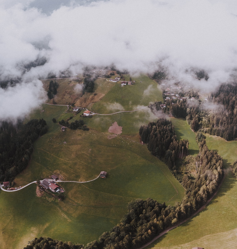 scenics - nature, day, high angle view, landscape, woodland, drone view, fog, green color, mist, tree, 2K, vintage, outdoors, people, green, environment