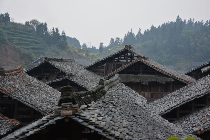 house, housing, outdoors, flora, china, architectural, clay, building, roofs, residential district, landscapes, plants, property, chinese, patterns, tiles