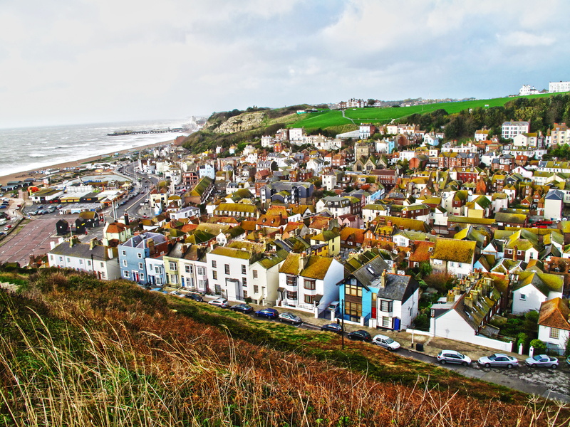 plant, aerial, sky, photography, grass, buildings, high angle shot, horizon over water, houses, water, near, sea, day, roofed, daytime, townscape, land