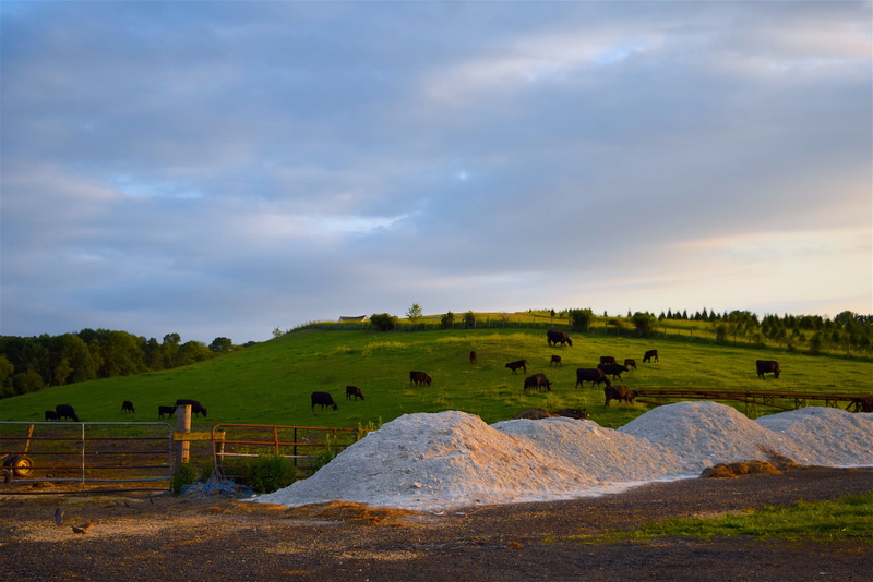 natural, country, pasture, landscape, non-urban scene, outdoor, field, spring, fence, meadow, sunset, cloud - sky, rock - object, green, land, countryside