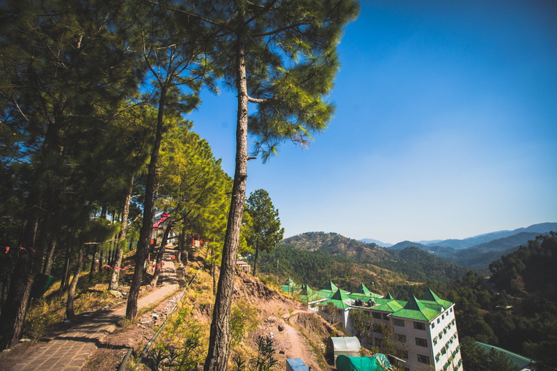 nature, tranquil scene, beauty in nature, mountain, daylight, road, sunlight, mountains, plant, beside, blue sky, outdoors, scenics - nature, growth, building