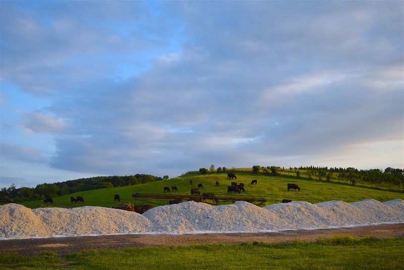 pasture, rock - object, rural Scene, ancient history, rural, tranquil scene, 4K, hill, meadow, tranquility, sky, travel destinations, spring, cloud, no people