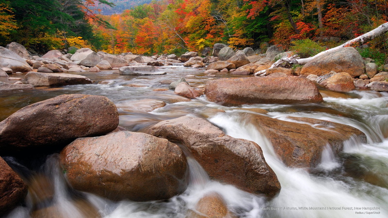 national, mountains, white, hampshire, Fall, 2K, new, river, swift, forest, autumn